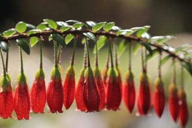 佛山三水区3私人快速借钱网，轻松解决资金难题