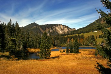 佛山三水区3民间私贷攻略：揭秘低成本借贷的秘密