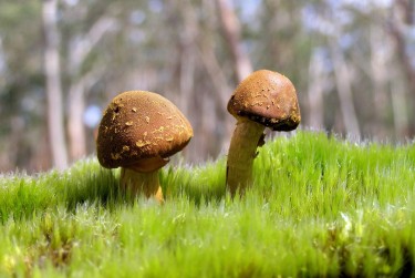 佛山三水区3私人老板放款：轻松融资的秘密通道